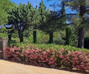 B&B / Chambres d'hotes Les Cerises : photos des chambres