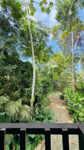 Casa Natural Mystic