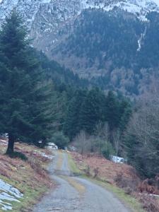 Studio charmante pour 2-4 personnes