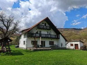 Căsuța dintre Meri - 莫伊西德约斯