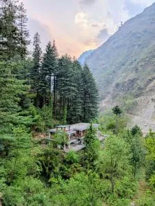 The Woods - Tirthan Valley - Sarāhan