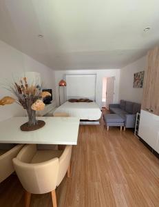 Appartements Andromede : photos des chambres