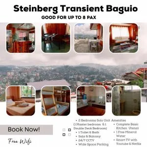 Steinberg Transient Baguio - Pico
