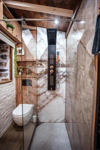 Archontiko Theofanous 1915