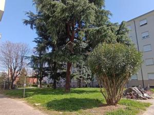 La casa di Giulia