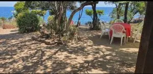 Villa pied dans l eau - Cala dʼOro