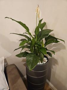 Binario 5, a due passi da Porta Nuova e dal centro