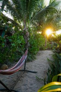 Ikal Puertecito Beach front House