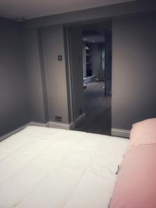 Beautiful Flat with patio in heart of Chelsea