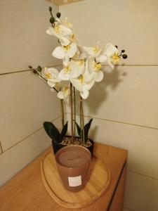 Ferienwohnung Zur goldenen Glocke