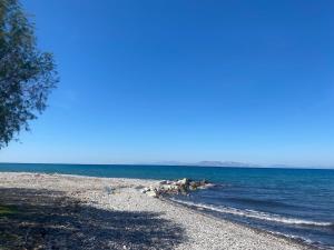 MariAggelas Little House