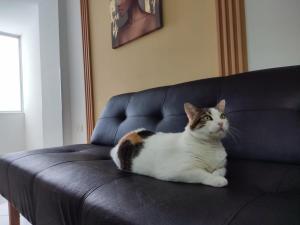 Sofisticado e Innovador Apartaestudio en San Alonso