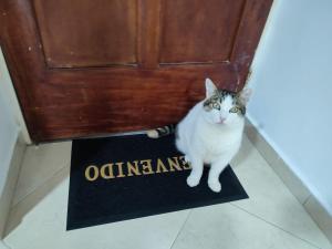 Sofisticado e Innovador Apartaestudio en San Alonso