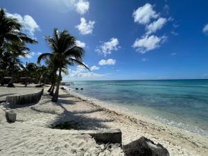 2BR 2BA Beachfront With View 71