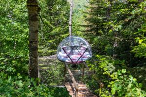 Campings Nuit insolite bulle foret glamping : photos des chambres