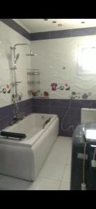 فيصل الرئيسي