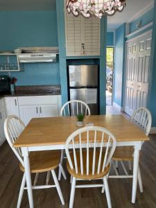 Cedar Key Turtle 132