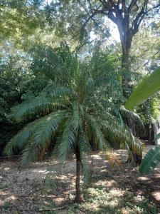 Cabinas Playa Grande