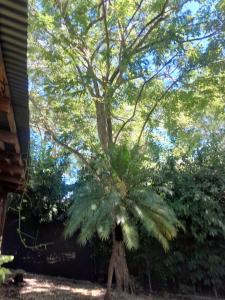 Cabinas Playa Grande