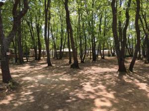 Maisons de vacances Villa in Luberon with Private Pool : photos des chambres