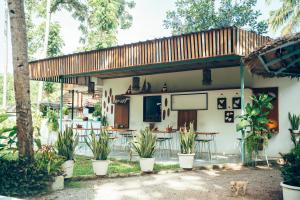 Paddle Cult Surf & Yoga