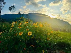 Giăngs House Farmstay & Glamping