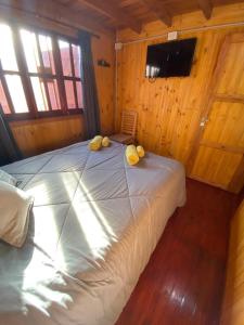 CUYEN LA SERRANITA - Cabaña para 4 Personas