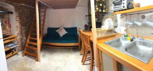 La Adornada Orquidea