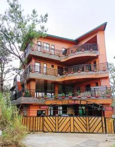 Forest Valley Transient - Pico