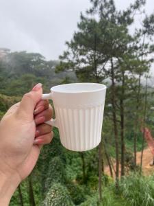 Xolaeir Staycation at Moldex Residences Baguio