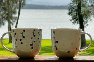 Casuarina Waters - Eraring