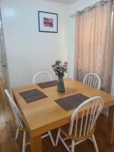 Amazing family house