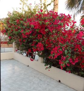 Cozy little beach house