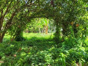 Casa de Campo en Trujillo