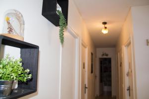 Sejours chez l'habitant Chambre dans T5 96m2 meuble tt equipe : photos des chambres