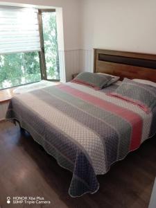 Departamento Pucon Parque