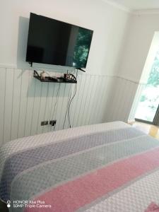 Departamento Pucon Parque