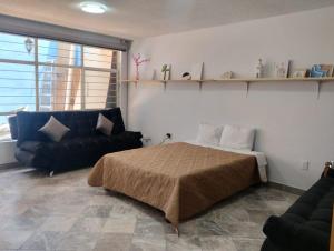 Casa de huéspedes Chukum