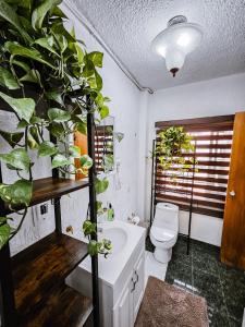 Habitación con baño privado B, Centro de Coyoacán