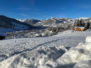 Alpenchalet Haldeli Ferienwohnung