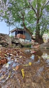 อินทนนท์ บ้านพักเล่าจู Inthanon Laoju House