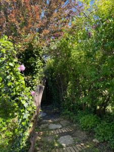 Zen house with a view