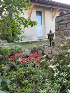 Zen house with a view