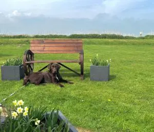 Chalet K118 - The Sand Beach - Greatstone