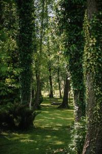 KUKUŁKA Nad Rzeczką