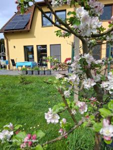 Ferienwohnung EnergiePunkt am Planitzwald