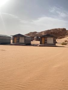 Green Desert