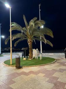 Apartments del sol