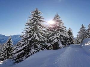 Apartment in Wängle Tyrol with Walking Trails Near