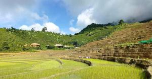 Ban Lien Pine Homestay Lao Cai